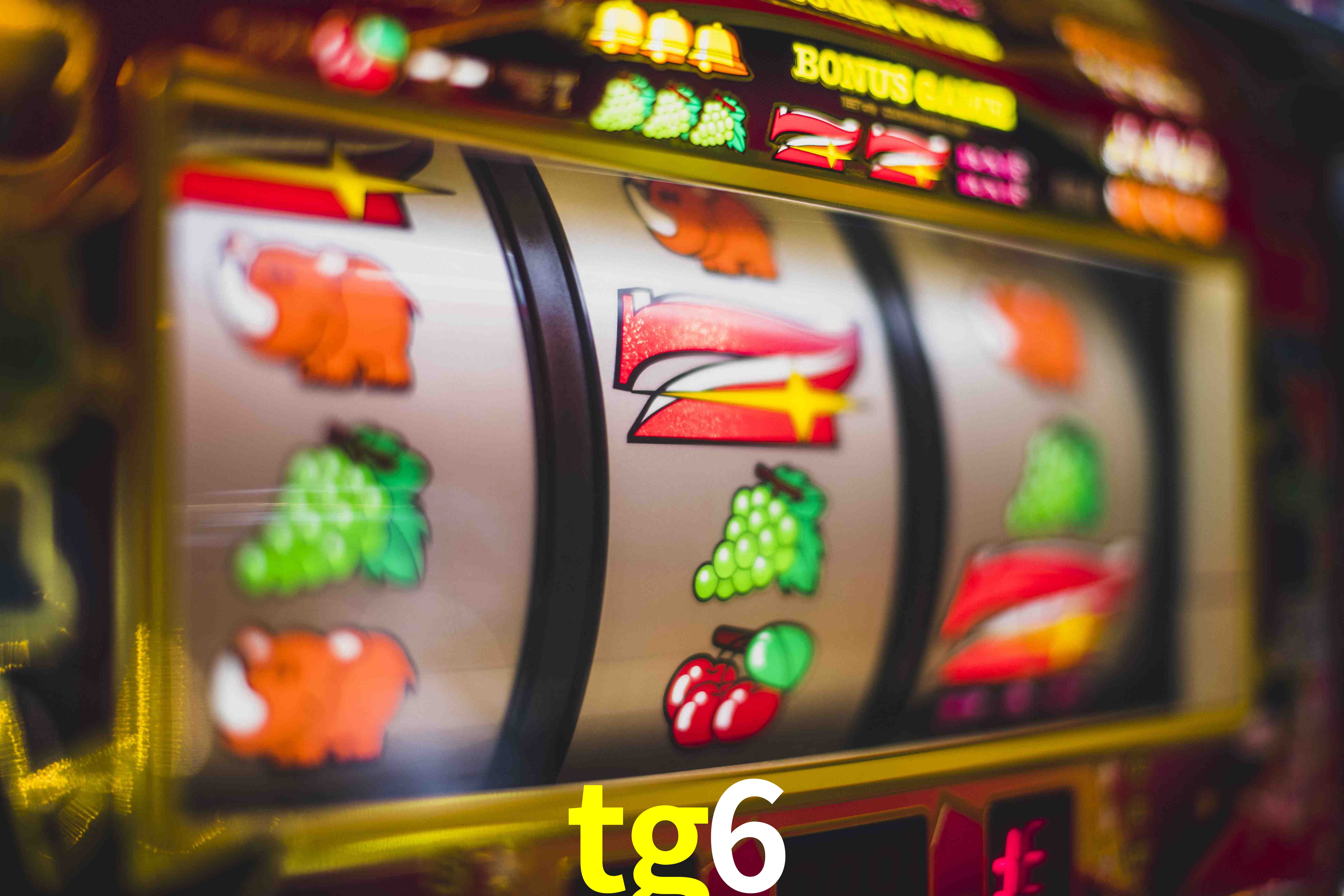 Live Casino tg6